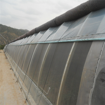 겨울 플라스틱 박막 터널 자연형 솔라 온실 단동 열 보존성
