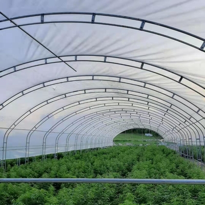 더블 아치는 두배로 농업 성장시킨 10X50m 단동 온실을 촬영합니다