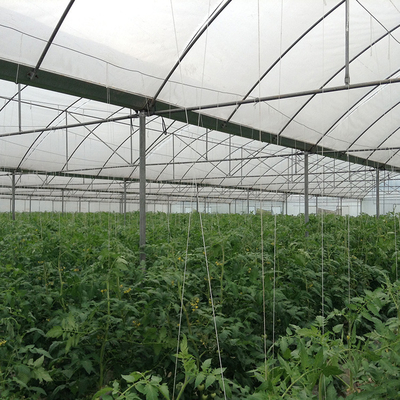 강한 구조 과중한 업무 플라스틱 온실 / 플라스틱 토마토 온실