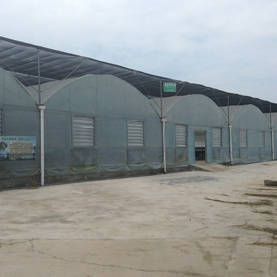 뜨거운 직류 전기로 자극된 구조 농업 비닐하우스 온실 내풍 연동온실