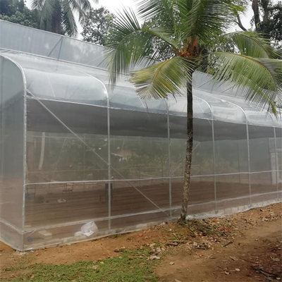 열대 아크 농업 성장시키는 폴리에틸렌 필름 온실