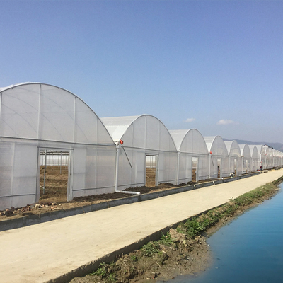농업 200 마이크론 폴리에틸렌필름 멀티스팬 온실을 성장시키는 플라스틱 박막 야채