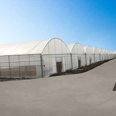 농업 200 마이크론 폴리에틸렌필름 멀티스팬 온실을 성장시키는 플라스틱 박막 야채