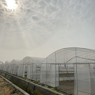 토마토를 위한 용융 도금법 아연 도금 강관 구조 폴리신 터널 플라스틱 온실