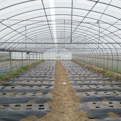 야채 농가 가축을 위한 다중 전폭 프레임 플라스틱 박막 온실