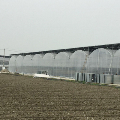 큰 크기 플라스틱 박막 온실 / 농업 온실 20m - 100m 롱